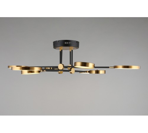 Потолочная люстра Aployt APL.043.07.65 Ines