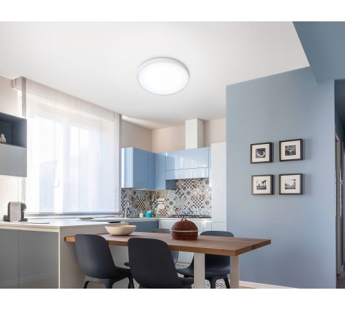 Накладной светильник Ambrella Light FZ1951 FZ