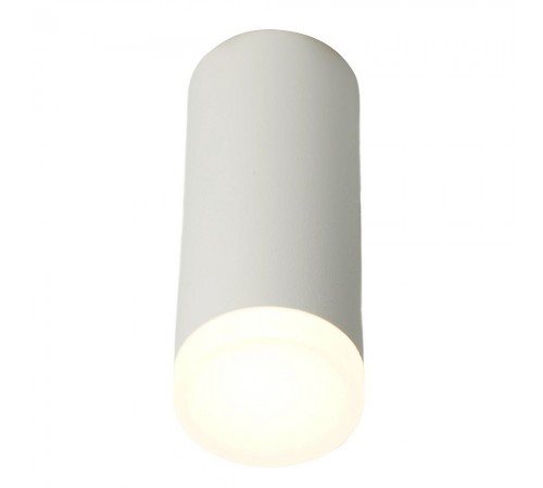 Накладной светильник Feron 51389 ML102