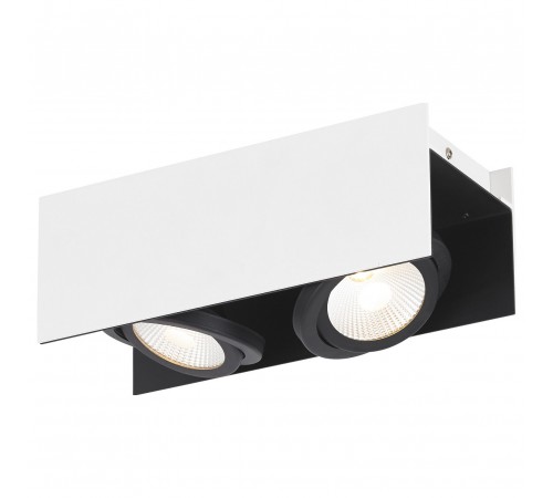 Накладной светильник Eglo 39316 Vidago