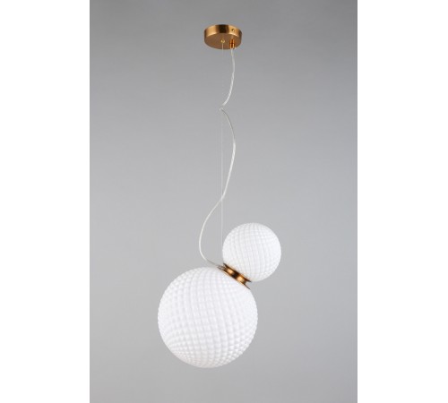 Подвесной светильник Aployt APL.301.06.02 Patunia