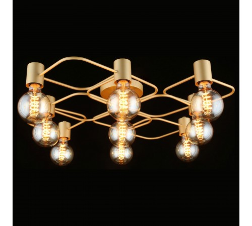 Потолочная люстра Aployt APL.911.07.09 Elison