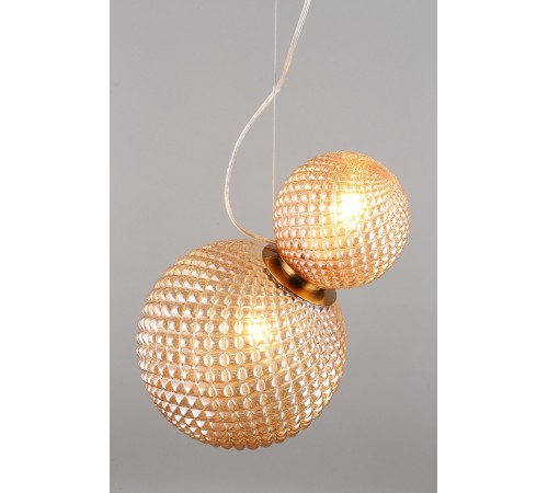 Подвесной светильник Aployt APL.301.16.02 Patunia