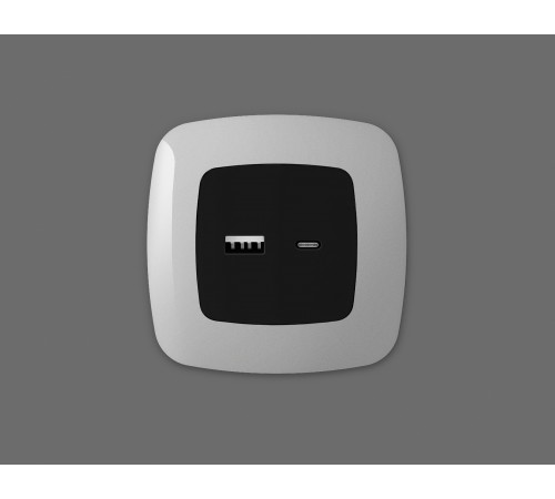 Накладка для розетки type A и C Ambrella Volt OP8110 Quant