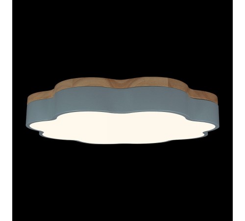 Накладной светильник Loft it 10225/36 Blue Axel