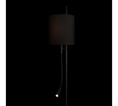 Торшер с подсветкой Loft it 10253F/B Black Ritz