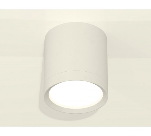 Накладной светильник Ambrella Light XS8141001 XS