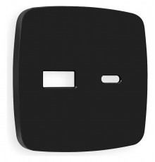 Накладка для розетки type A и C Ambrella Volt OP8110 Quant