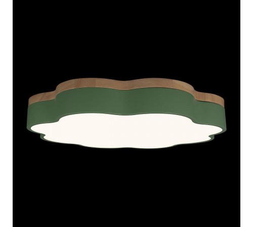 Накладной светильник Loft it 10225/36 Green Axel