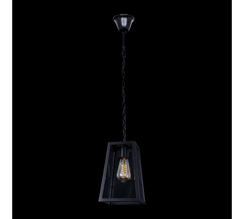 Подвесной светильник Loft it LOFT1127 Modern Filament