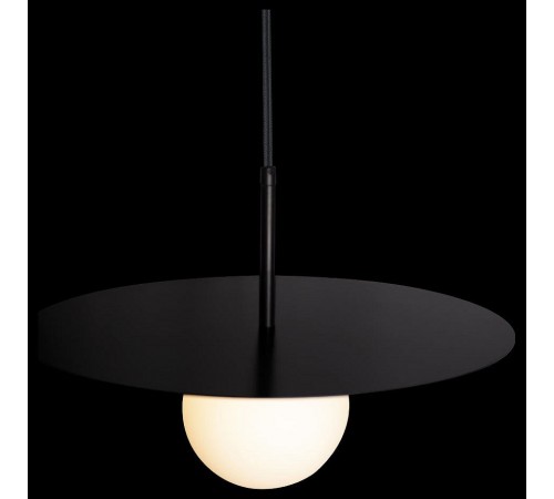 Подвесной светильник Loft it 10120/350P Black Ufo