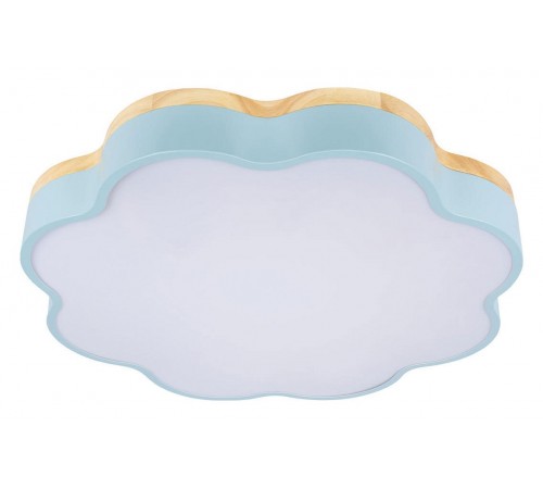 Накладной светильник Loft it 10225/36 Blue Axel