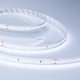 Лента светодиодная Arlight 026980 IC 2-50000 48V Cool 8K 12mm (2835, 144 LED/m, LUX)