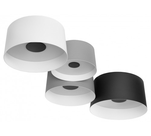 Потолочная люстра Loft it 10360/4 Duo