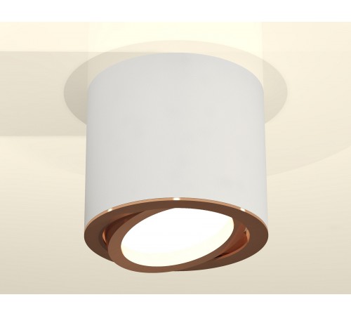 Накладной светильник Ambrella Light XS7401005 XS