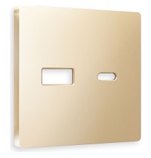 Накладка для розетки type A и C Ambrella Volt AP6110 Quant