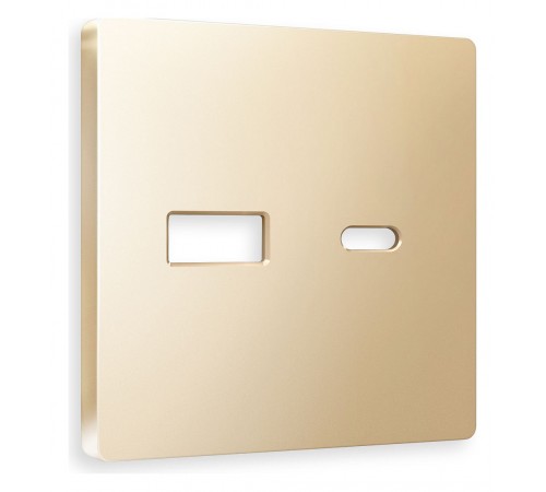 Накладка для розетки type A и C Ambrella Volt AP6110 Quant