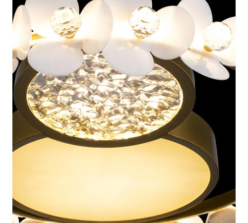 Накладной светильник Loft it 10174 Bride