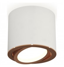 Накладной светильник Ambrella Light XS7401005 XS