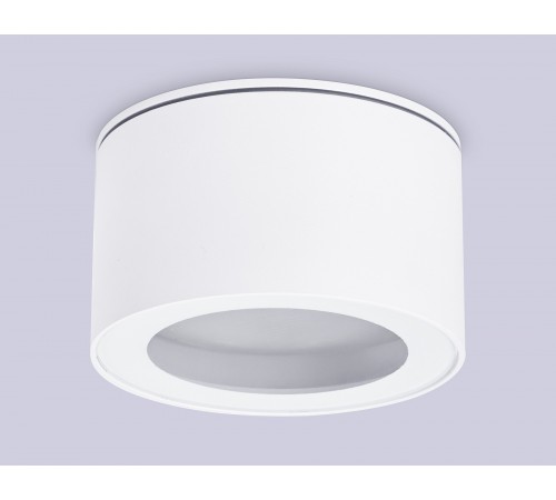 Накладной светильник Ambrella Light TN6522 TN