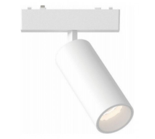 Светильник на штанге Aployt APL.0116.11.20 Magnetic track 48