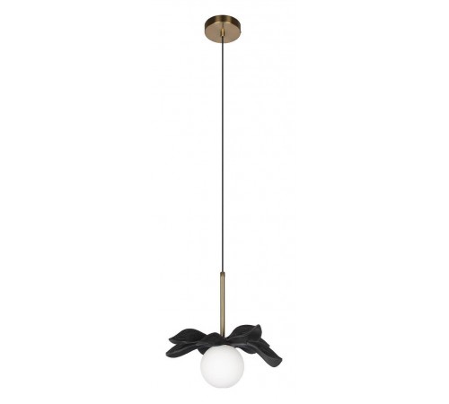 Подвесной светильник Loft it 10213/A Black Monro