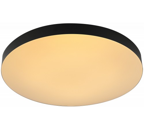 Накладной светильник Эра Relict 48 Pult SPB-6-60-RC BK Relict