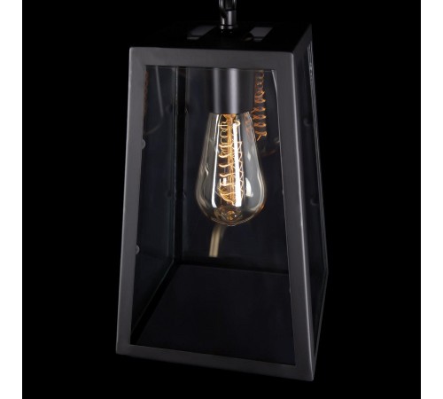 Подвесной светильник Loft it LOFT1127 Modern Filament