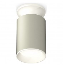 Накладной светильник Ambrella Light XS6314061 XS