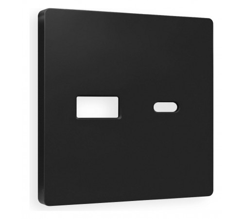 Накладка для розетки type A и C Ambrella Volt AP8110 Quant