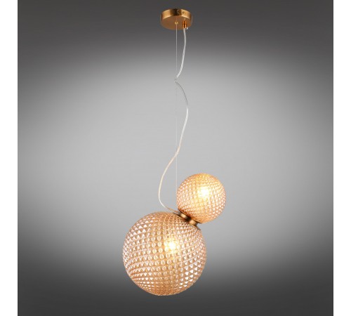 Подвесной светильник Aployt APL.301.16.02 Patunia