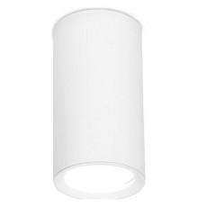 Накладной светильник Ambrella Light TN218 TN