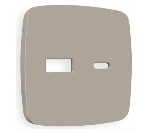 Накладка для розетки type A и C Ambrella Volt OP3710 Quant