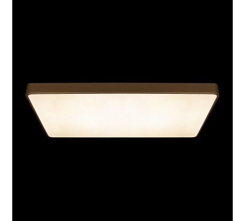 Накладной светильник Loft it 10228/E Flims