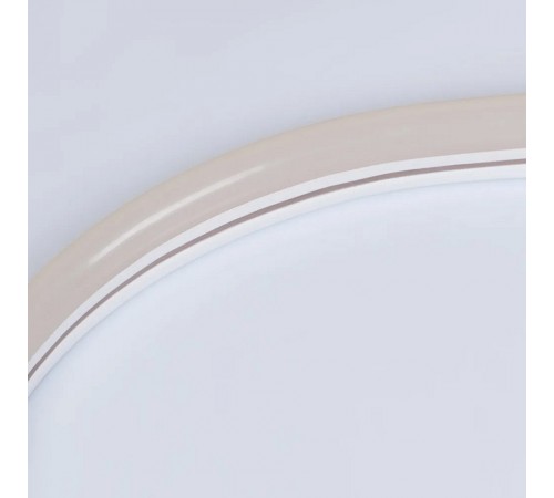 Лента светодиодная Arlight 030856(1) NEON