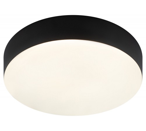 Накладной светильник Эра Relict 22 SPB-6-20 4К BK Relict