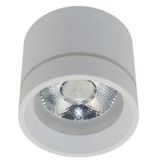 Накладной светильник Aployt APL.0044.09.05 Gita