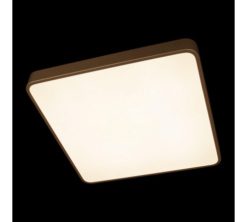 Накладной светильник Loft it 10228/D Flims