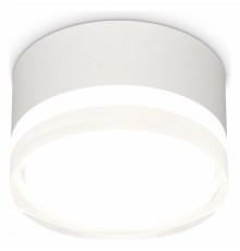 Накладной светильник Ambrella Light XS8101023 XS