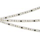 Лента светодиодная Arlight 049439 SPI-SE-A120-10mm 24V