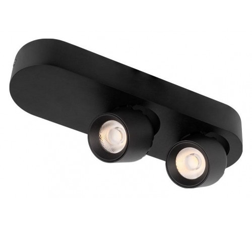 Накладной светильник Loft it 10320/2 Black Quiet