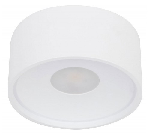 Накладной светильник Wertmark WTA.O01.007.30.07 WTA