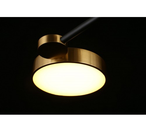 Потолочная люстра Aployt APL.043.07.65 Ines