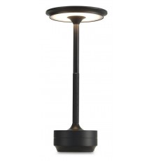 Настольная лампа декоративная Aployt APL.064.24.05 Markel