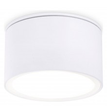 Накладной светильник Ambrella Light TN6522 TN