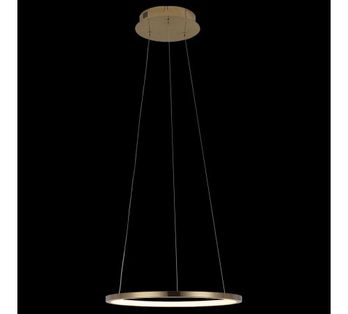 Подвесной светильник Loft it 10014S Ring