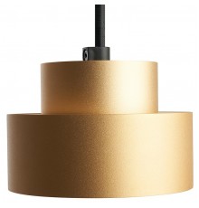 Подвесной светильник Feron 48411 HL3678