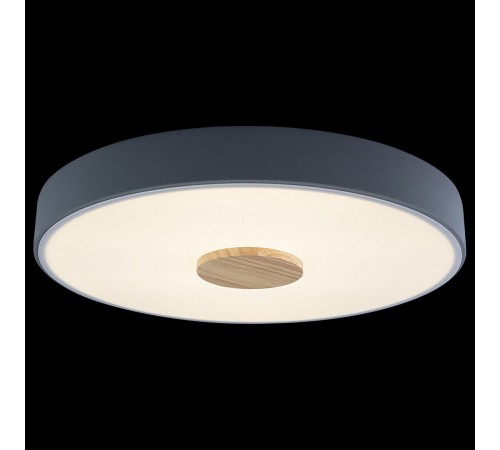 Накладной светильник Loft it 10003/24 Grey Axel 2