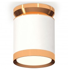 Накладной светильник Ambrella Light XS8141030 XS