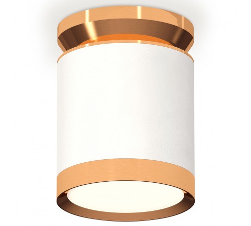 Накладной светильник Ambrella Light XS8141030 XS